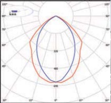  ������ ���� �����